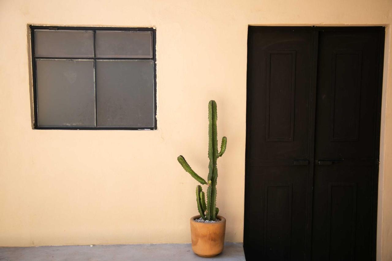 509 Accommodation Oaxaca ภายนอก รูปภาพ