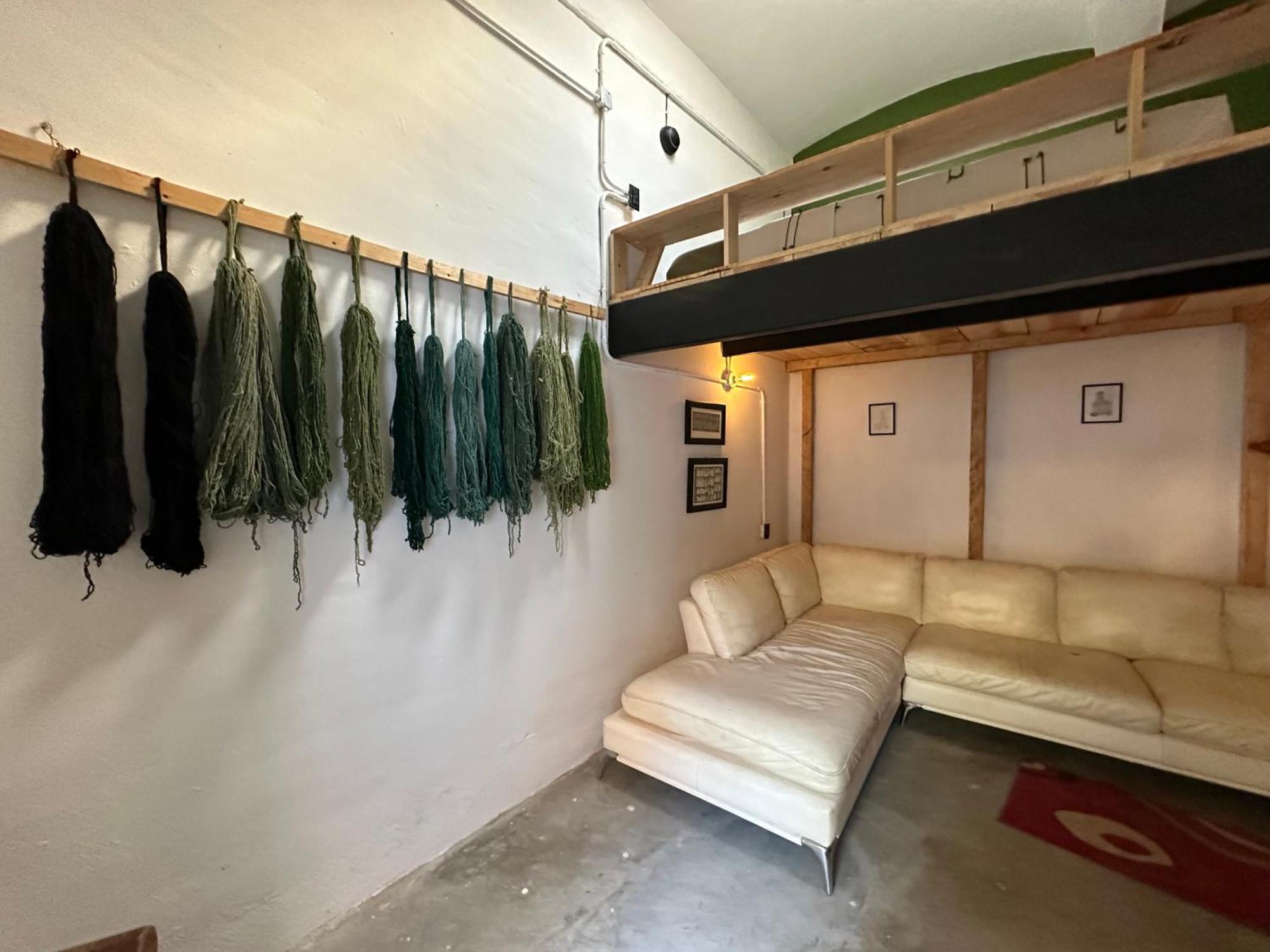 509 Accommodation Oaxaca ภายนอก รูปภาพ