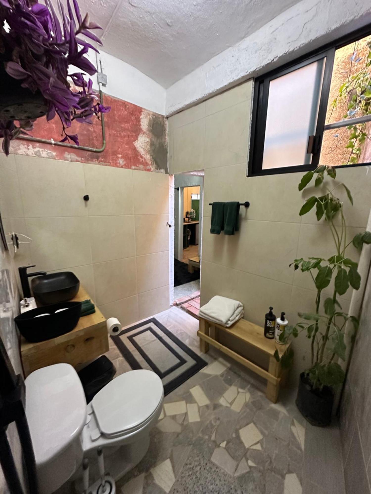 509 Accommodation Oaxaca ภายนอก รูปภาพ