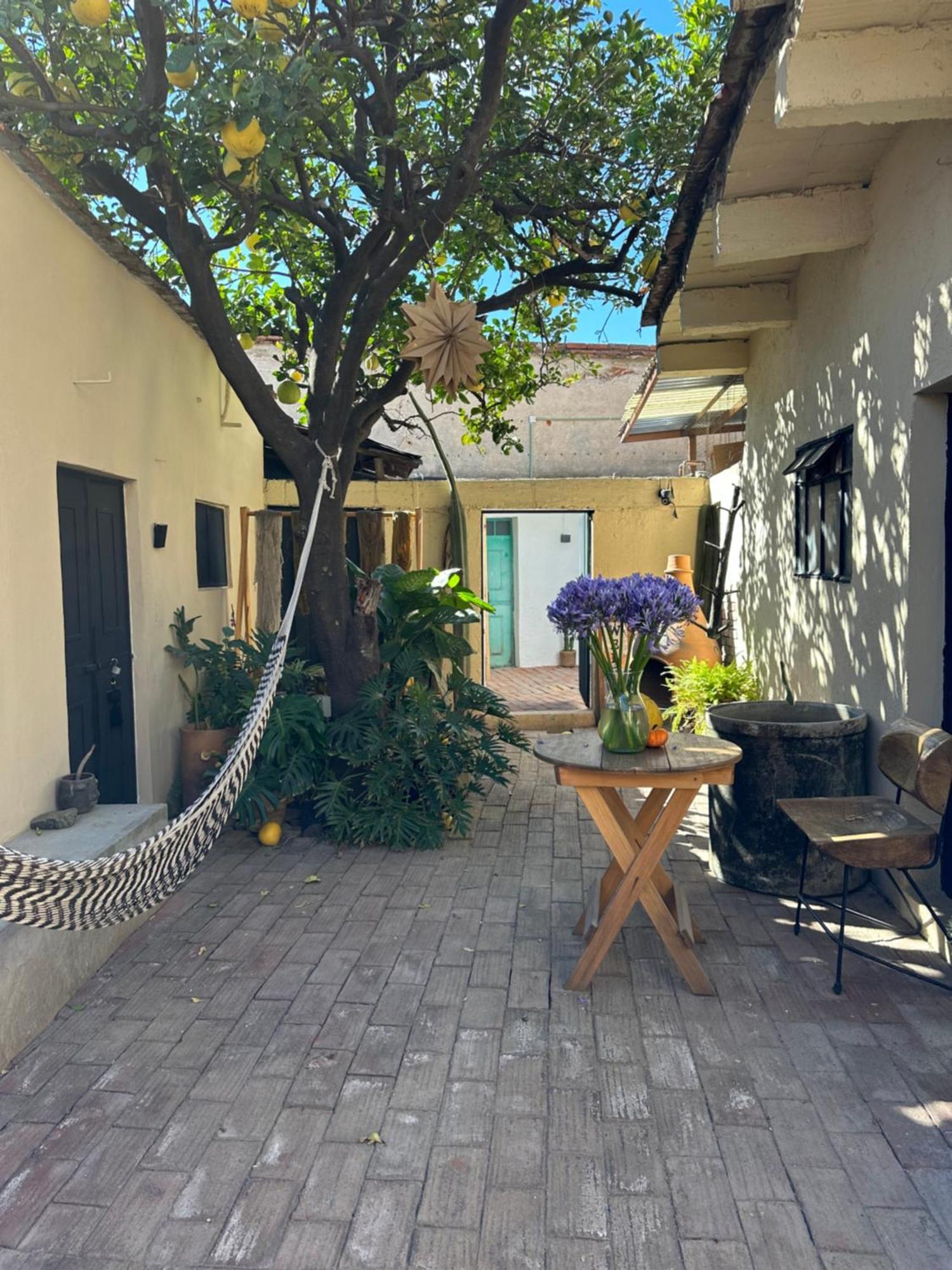 509 Accommodation Oaxaca ภายนอก รูปภาพ